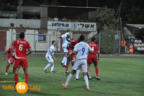 koraludn5478339 (47).JPG